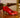 Scarpin Louis Vuitton
