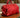 Bolsa Louis Vuitton Sofia Coppola