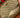 Bolsa Gucci Neo Vintage GG Supreme Faixa Web