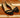 Flat Aquazzura