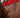 Bolsa Louis Vuitton Neverfull MM