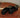 Mocassim Gucci Horsebit